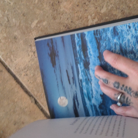 Moonlight Gratitude 365 Art Meditation Sleep Book, Beautiful! Emily Silvia - Picture 4 of 7